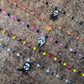 Spooky Chokers