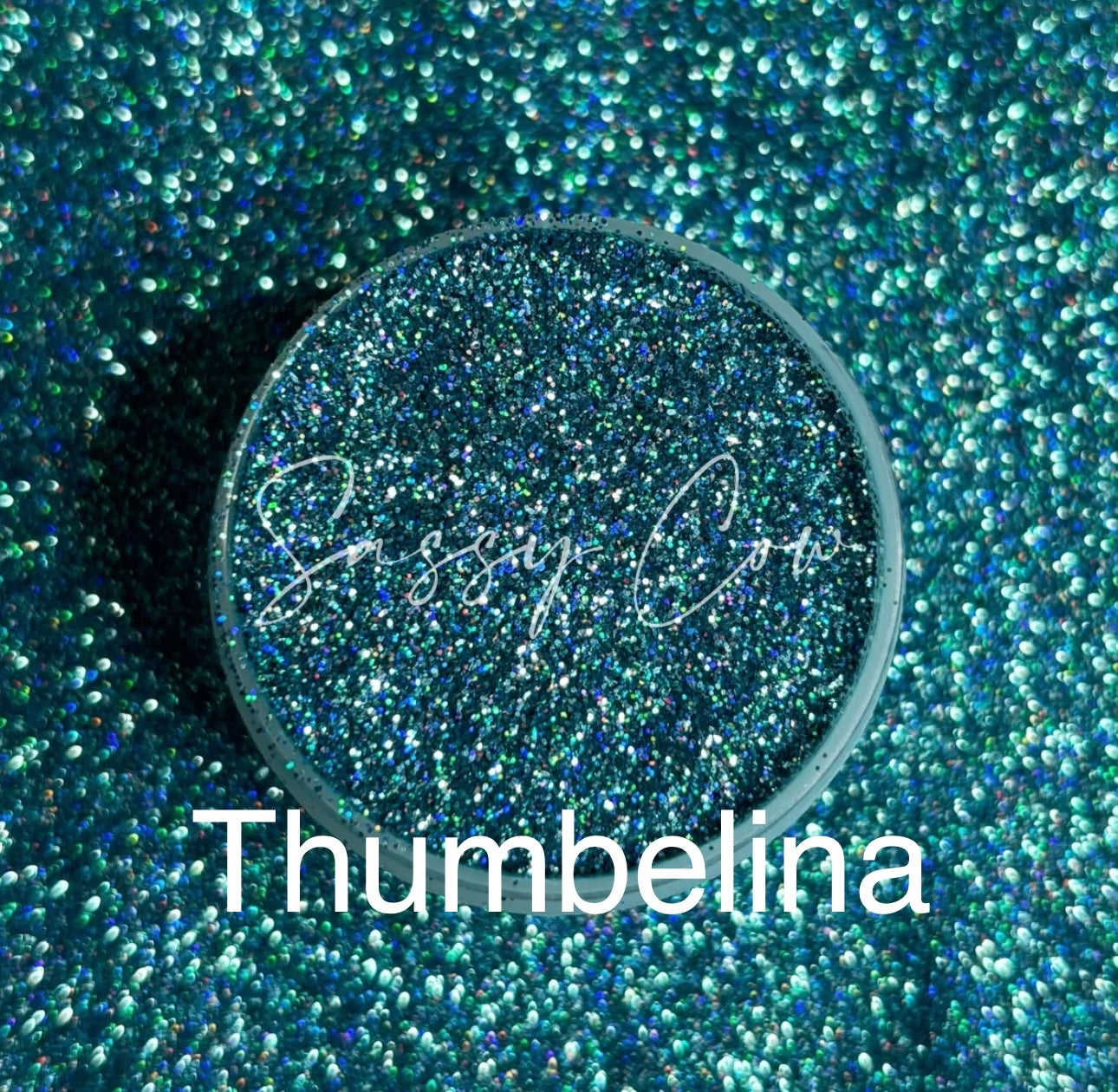 2025 Black Friday NEW Glitter Wand Colors